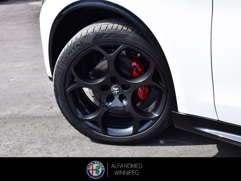2026 ALFA ROMEO Stelvio at Alfa Romeo of Winnipeg Winnipeg Manitoba (Image 11/27)