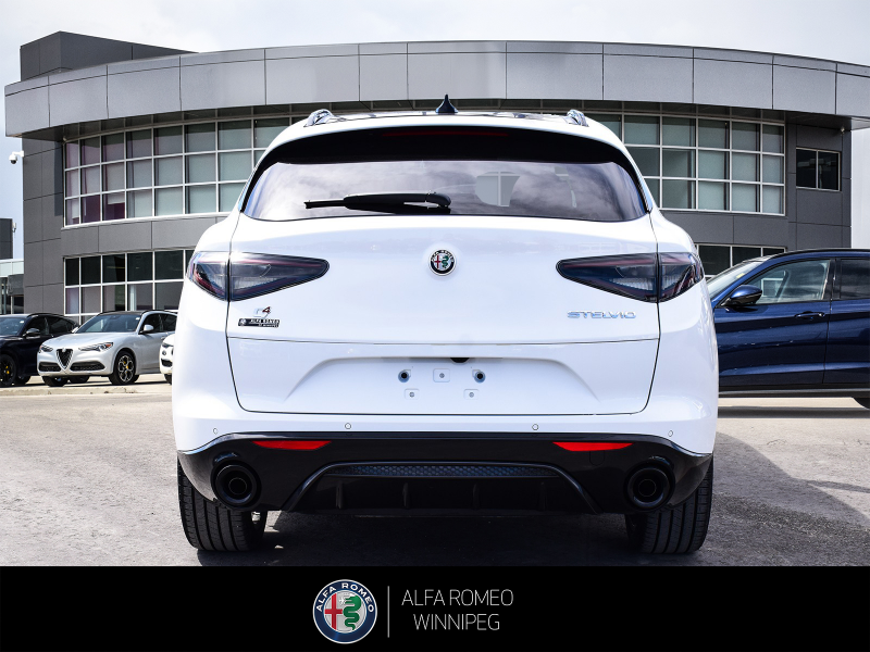 2026 ALFA ROMEO Stelvio at Alfa Romeo of Winnipeg Winnipeg Manitoba (Image 4/27)