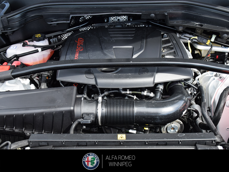 2026 ALFA ROMEO Stelvio at Alfa Romeo of Winnipeg Winnipeg Manitoba (Image 9/27)