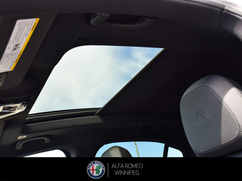 2026 ALFA ROMEO Stelvio at Alfa Romeo of Winnipeg Winnipeg Manitoba (Image 15/27)