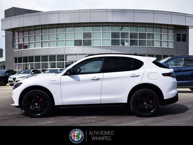 2026 ALFA ROMEO Stelvio at Alfa Romeo of Winnipeg Winnipeg Manitoba (Image 2/27)