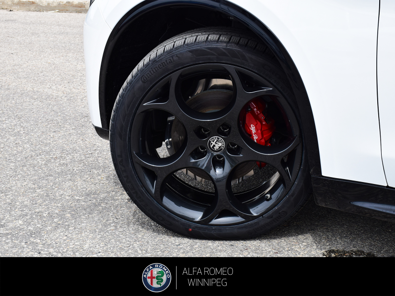 2026 ALFA ROMEO Stelvio Veloce  at Alfa Romeo of Winnipeg Winnipeg Manitoba (Image 11/27)