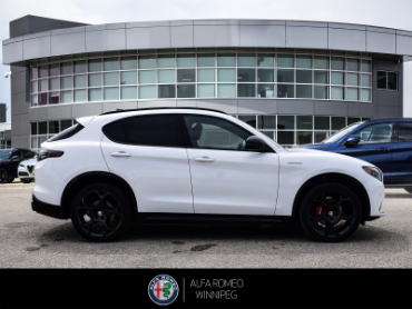 2026 ALFA ROMEO Stelvio Veloce  at Alfa Romeo of Winnipeg Winnipeg Manitoba thumbnail 6