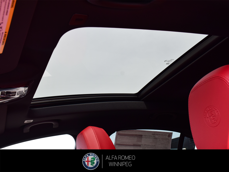 2026 ALFA ROMEO Stelvio   at Alfa Romeo of Winnipeg Winnipeg Manitoba (Image 15/24)