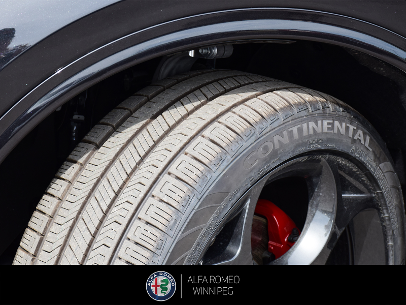 2026 ALFA ROMEO Stelvio   at Alfa Romeo of Winnipeg Winnipeg Manitoba (Image 12/24)