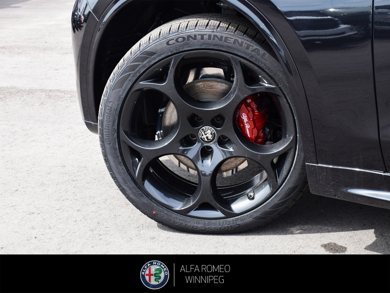 2026 ALFA ROMEO Stelvio   at Alfa Romeo of Winnipeg Winnipeg Manitoba (Image 11/24)