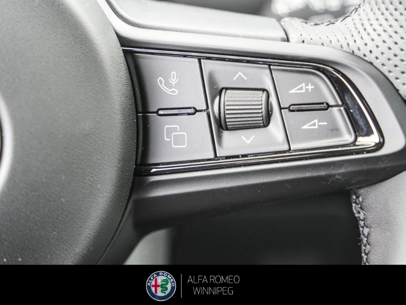 2025 ALFA ROMEO Tonale EAWD (PHEV) Tributo  at Alfa Romeo of Winnipeg Winnipeg Manitoba (Image 25/32)