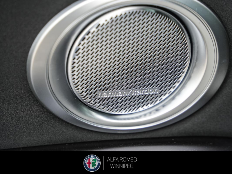 2025 ALFA ROMEO Tonale EAWD (PHEV) Tributo  at Alfa Romeo of Winnipeg Winnipeg Manitoba (Image 17/32)