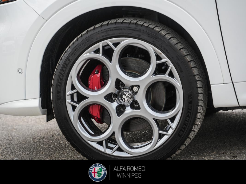 2025 ALFA ROMEO Tonale EAWD (PHEV) Tributo  at Alfa Romeo of Winnipeg Winnipeg Manitoba (Image 11/32)