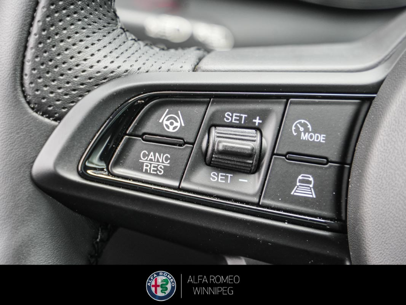 2025 ALFA ROMEO Tonale EAWD (PHEV) Tributo  at Alfa Romeo of Winnipeg Winnipeg Manitoba (Image 25/32)