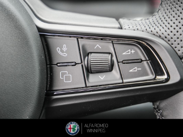 2025 ALFA ROMEO Tonale EAWD (PHEV) Tributo  at Alfa Romeo of Winnipeg Winnipeg Manitoba thumbnail 24